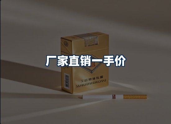 专业团队办公环境
